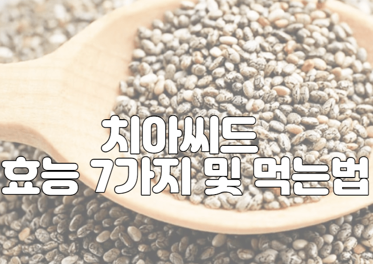 치아씨드 효능 7가지 및 먹는법