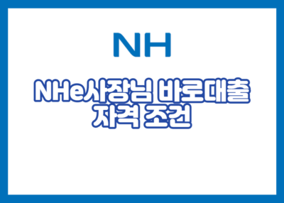 NHe사장님 바로대출 자격 조건