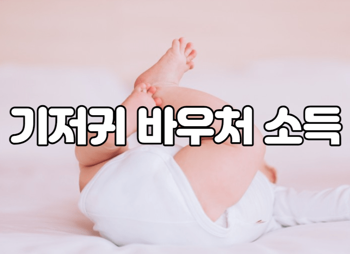 기저귀 바우처 소득