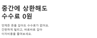 소득없는 개인사업자 대출