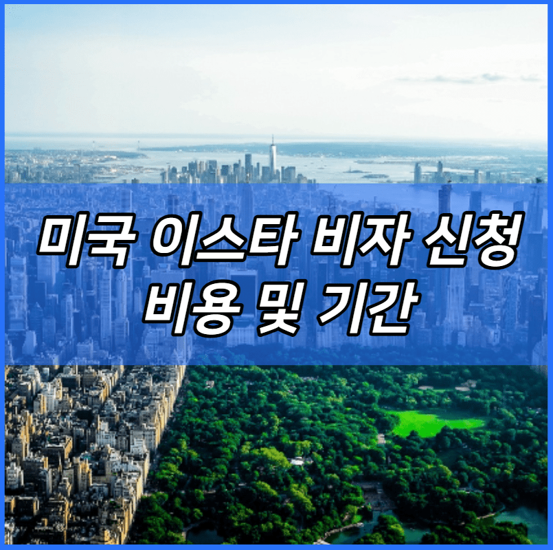 미국 이스타 비자 신청