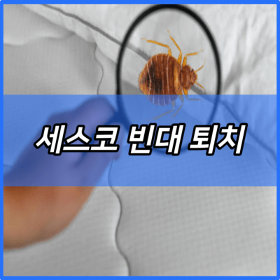 세스코 빈대 퇴치