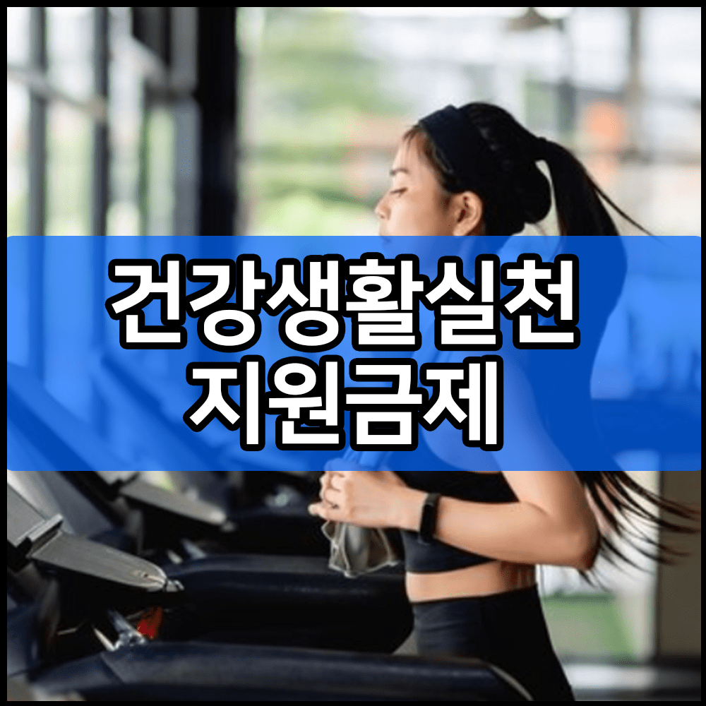 건강생활실천 지원금제