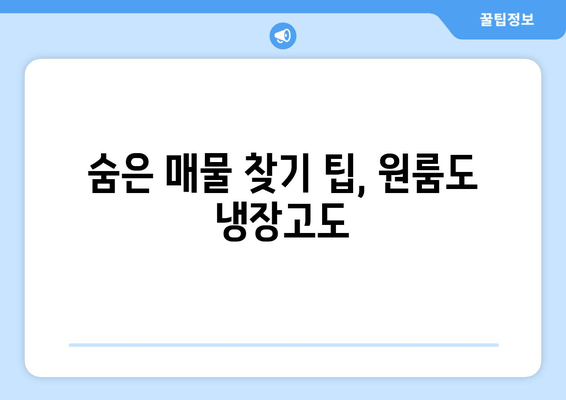 숨은 매물 찾기 팁, 원룸도 냉장고도