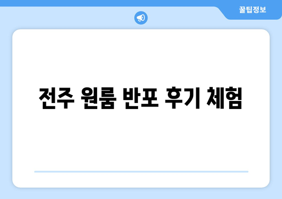 전주 원룸 반포 후기 체험