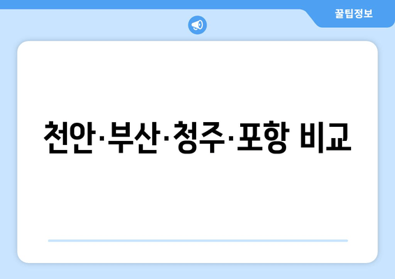 천안·부산·청주·포항 비교