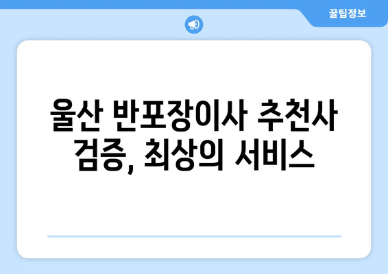 울산 반포장이사 추천사 검증, 최상의 서비스