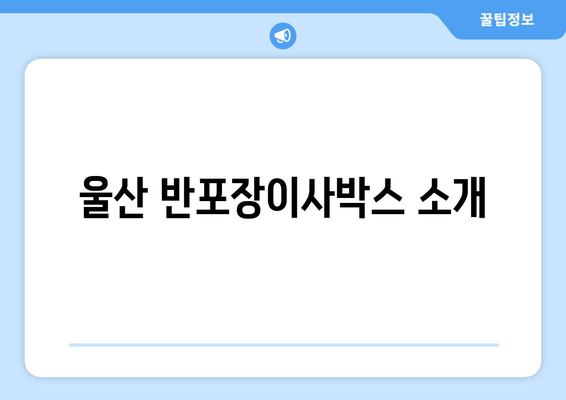 울산 반포장이사박스 소개