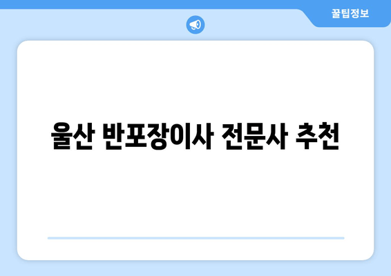 울산 반포장이사 전문사 추천