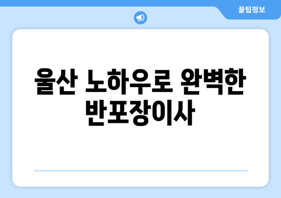 울산 노하우로 완벽한 반포장이사