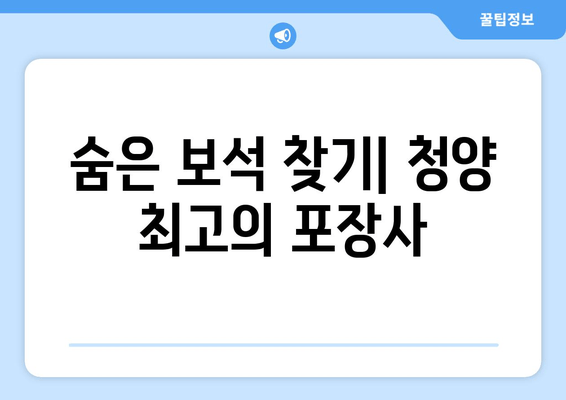 숨은 보석 찾기| 청양 최고의 포장사