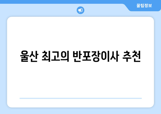 울산 최고의 반포장이사 추천