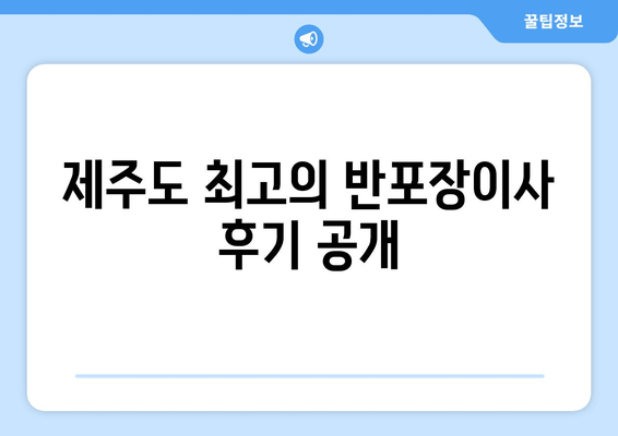 제주도 최고의 반포장이사 후기 공개