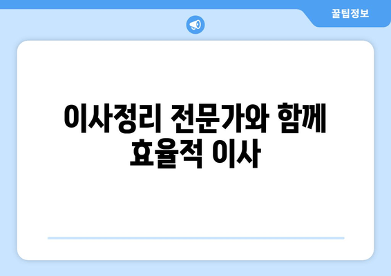 이사정리 전문가와 함께 효율적 이사