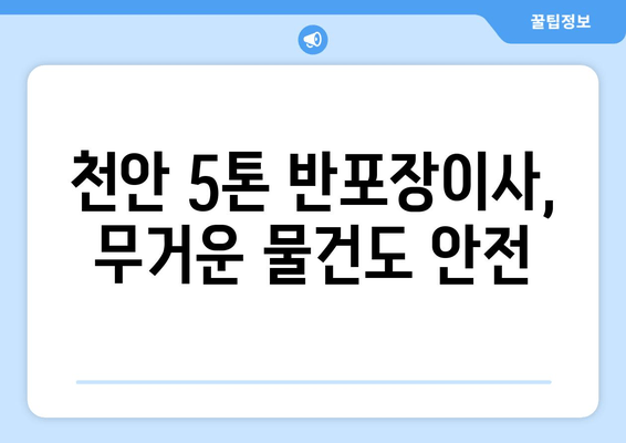 천안 5톤 반포장이사, 무거운 물건도 안전