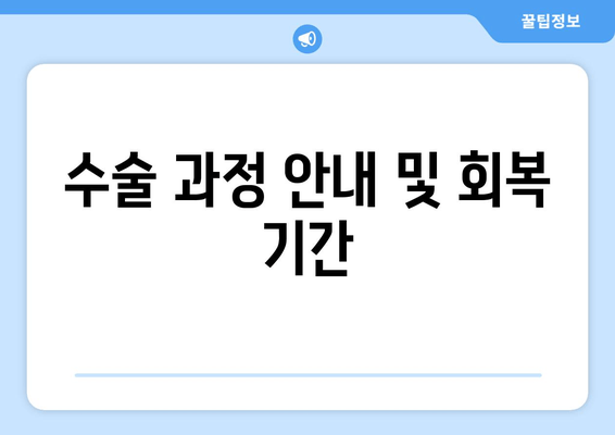 수술 과정 안내 및 회복 기간