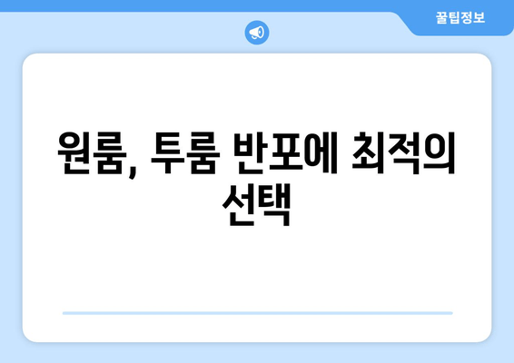 원룸, 투룸 반포에 최적의 선택