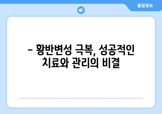 황반변성 극복, 나에게 맞는 방법 찾기 | 황반변성, 치료, 관리, 예방, 식단