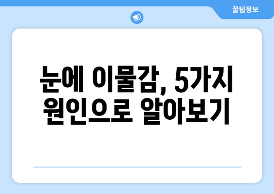 눈에 이물감, 5가지 원인과 통증 해결 솔루션 | 눈 통증, 이물감, 눈 건강