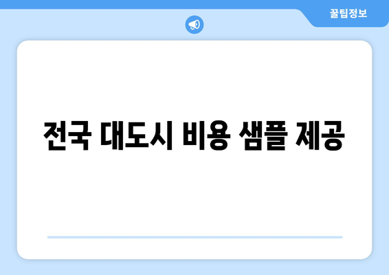 전국 대도시 비용 샘플 제공