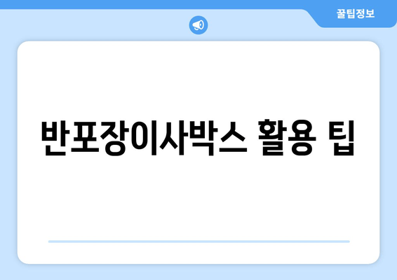 반포장이사박스 활용 팁