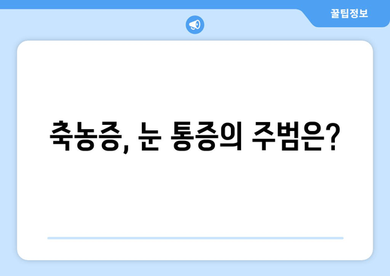 축농증으로 인한 눈 통증, 원인과 해결책 | 축농증, 눈 통증, 치료, 증상, 관리