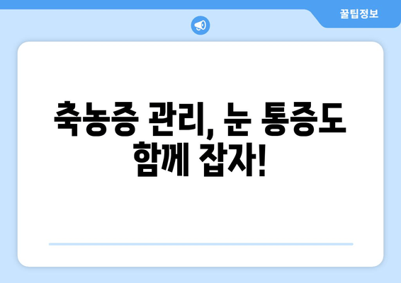 축농증으로 인한 눈 통증, 원인과 해결책 | 축농증, 눈 통증, 치료, 증상, 관리