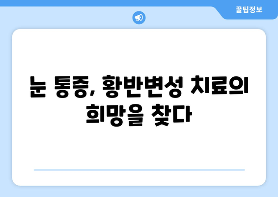 황반변성 극복, 눈 통증 해결의 지혜| 실제 경험담과 전문가 조언 | 황반변성, 눈 통증, 치료, 극복, 경험