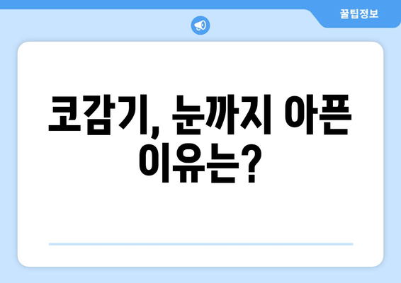 코감기 때문에 눈이 아픈 이유| 원인과 해결 방안 | 눈 통증, 코감기, 증상, 치료