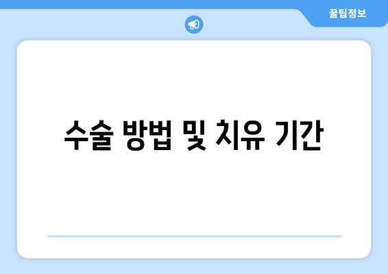 수술 방법 및 치유 기간