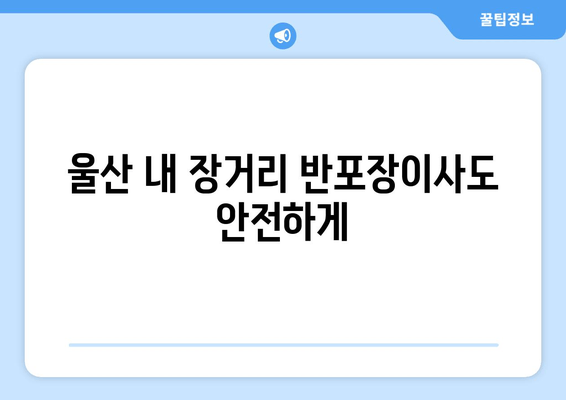 울산 내 장거리 반포장이사도 안전하게