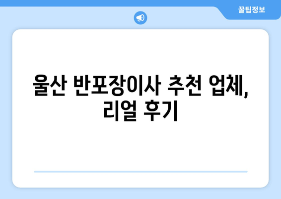 울산 반포장이사 추천 업체, 리얼 후기