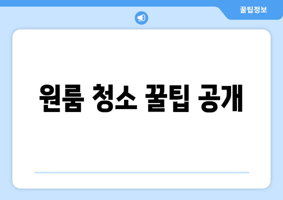 원룸 청소 꿀팁 공개