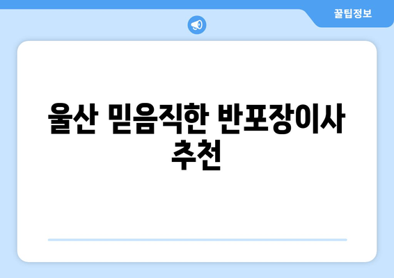 울산 믿음직한 반포장이사 추천