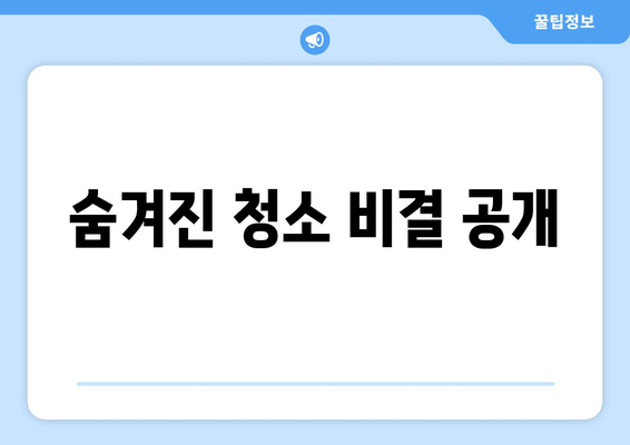 숨겨진 청소 비결 공개