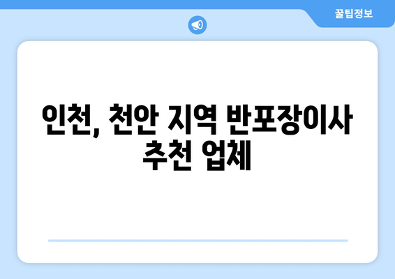 인천, 천안 지역 반포장이사 추천 업체