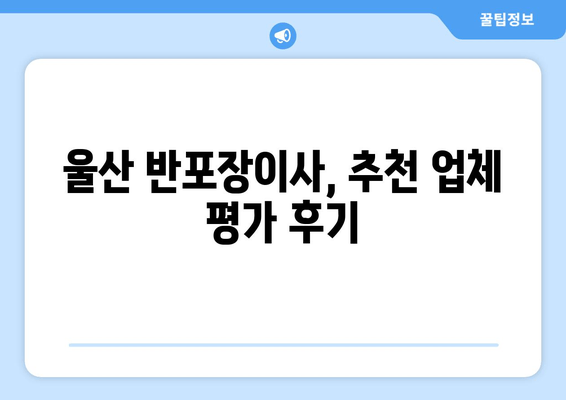 울산 반포장이사, 추천 업체 평가 후기