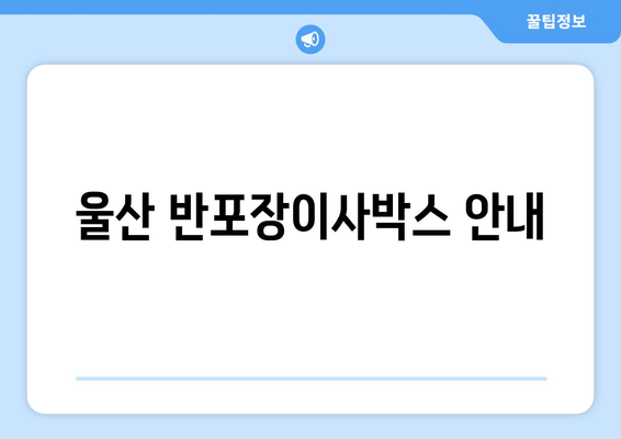 울산 반포장이사박스 안내