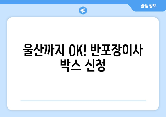 울산까지 OK! 반포장이사 박스 신청