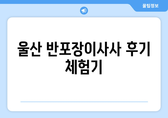 울산 반포장이사사 후기 체험기