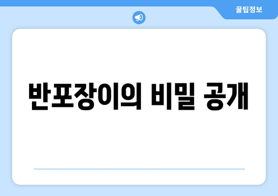 반포장이의 비밀 공개