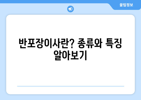 반포장이사란? 종류와 특징 알아보기