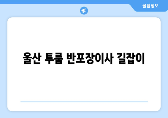 울산 투룸 반포장이사 길잡이