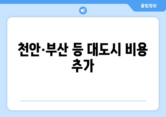 천안·부산 등 대도시 비용 추가