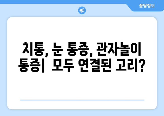 치통, 눈 통증, 관대뼈 통증, 이 모든 게 연결되어 있다? | 통증의 상관관계, 원인 분석, 건강 관리