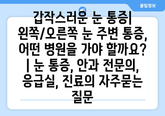 갑작스러운 눈 통증| 왼쪽/오른쪽 눈 주변 통증, 어떤 병원을 가야 할까요? | 눈 통증, 안과 전문의, 응급실, 진료