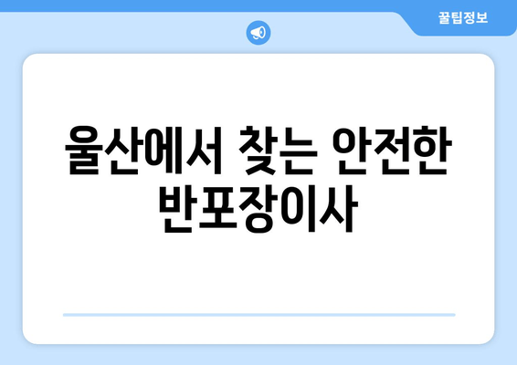 울산에서 찾는 안전한 반포장이사