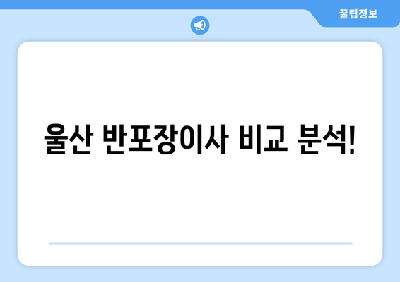 울산 반포장이사 비교 분석!