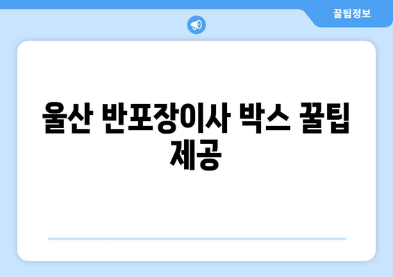 울산 반포장이사 박스 꿀팁 제공