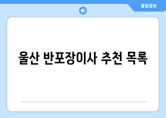 울산 반포장이사 추천 목록